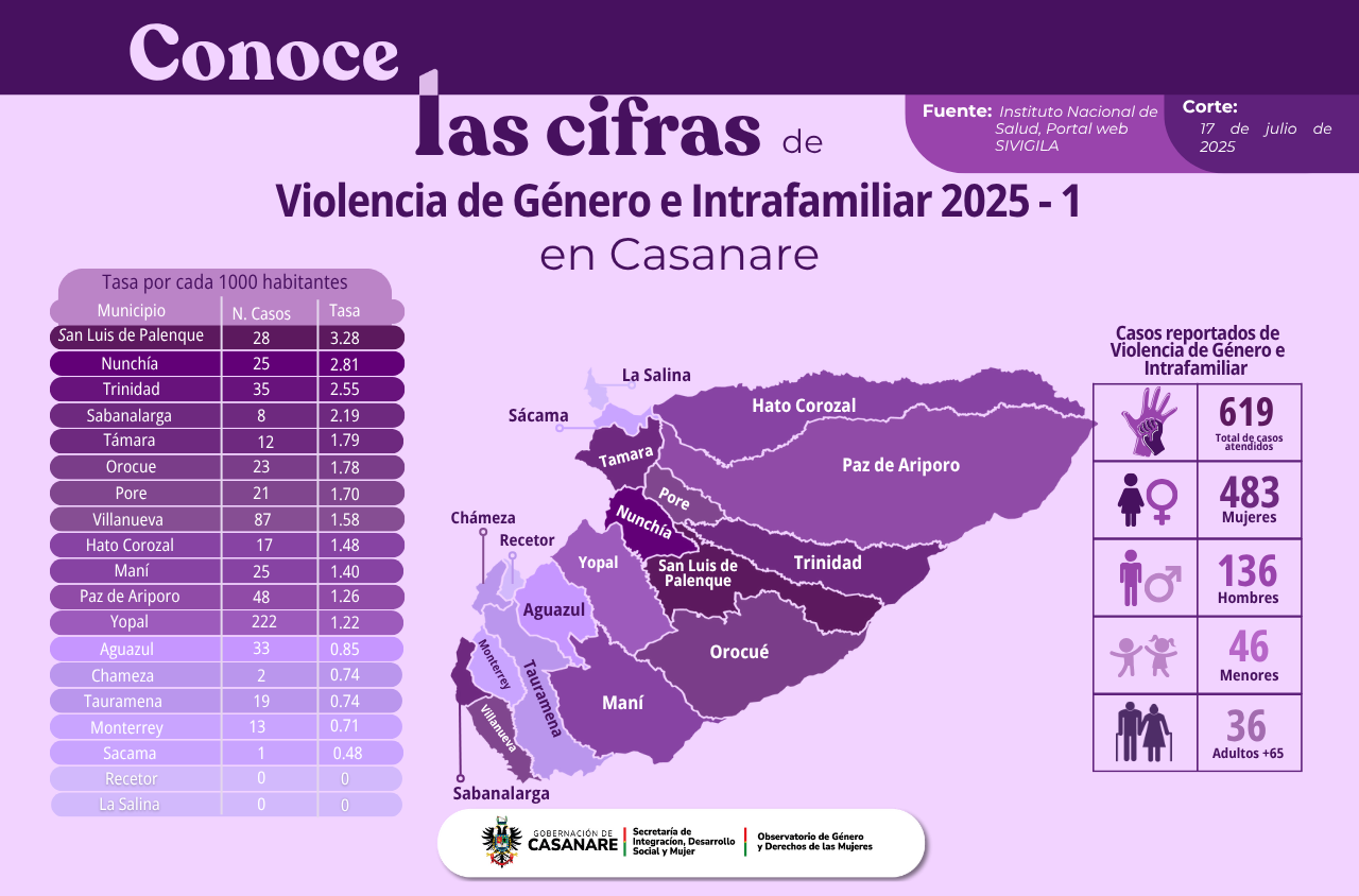 VIOLENCIA DE GENERO INTRAFAMILIAR - 2025 1.png