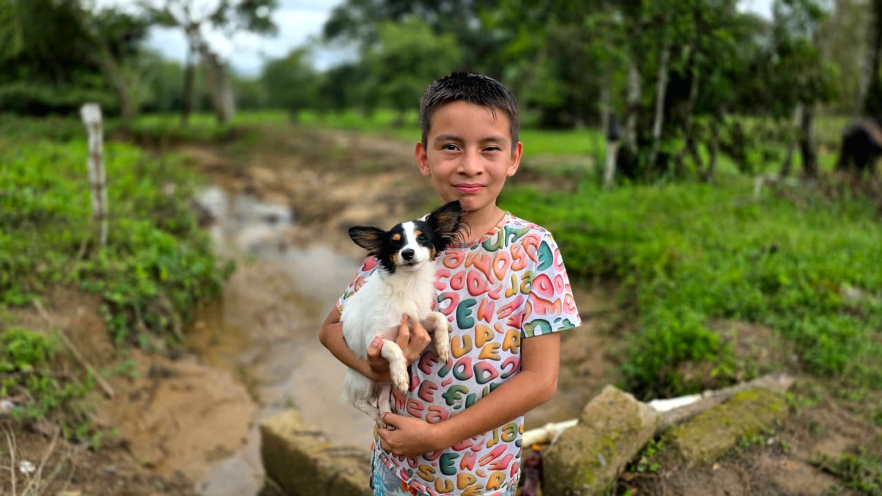 Concurso de pintura en Casanare promueve la protección de mascotas ante riesgos naturales