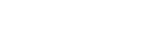 Logo 101 Software